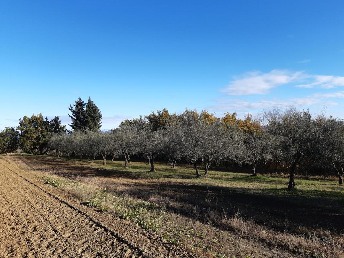 Hisa Bepina Διαμέρισμα Κόπερ Εξωτερικό φωτογραφία