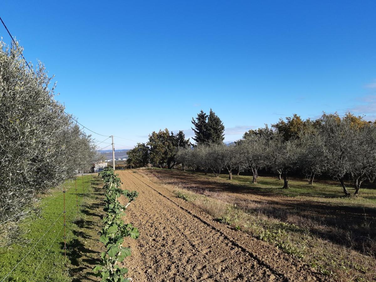 Hisa Bepina Διαμέρισμα Κόπερ Εξωτερικό φωτογραφία